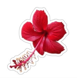 Meet your Posher, Jenni